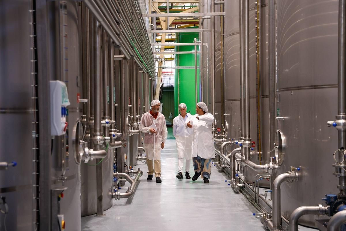Depósitos de aceite en la planta de Deoleo en Alcolea, Córdoba.
