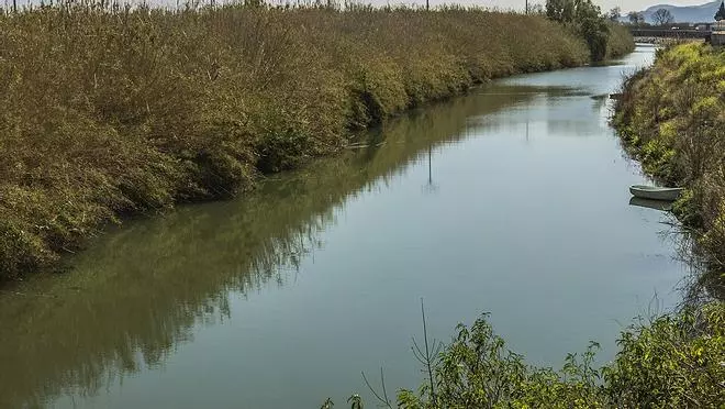 La Guardia Civil investiga si la mujer encontrada en el Xúquer murió accidentalmente