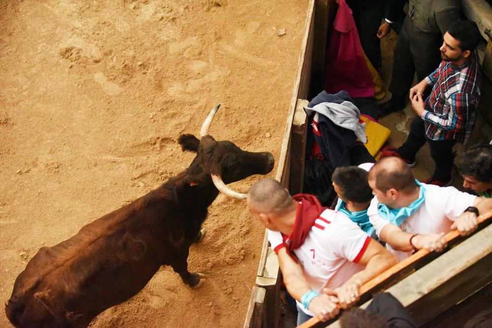 Corre de bou de Cardona