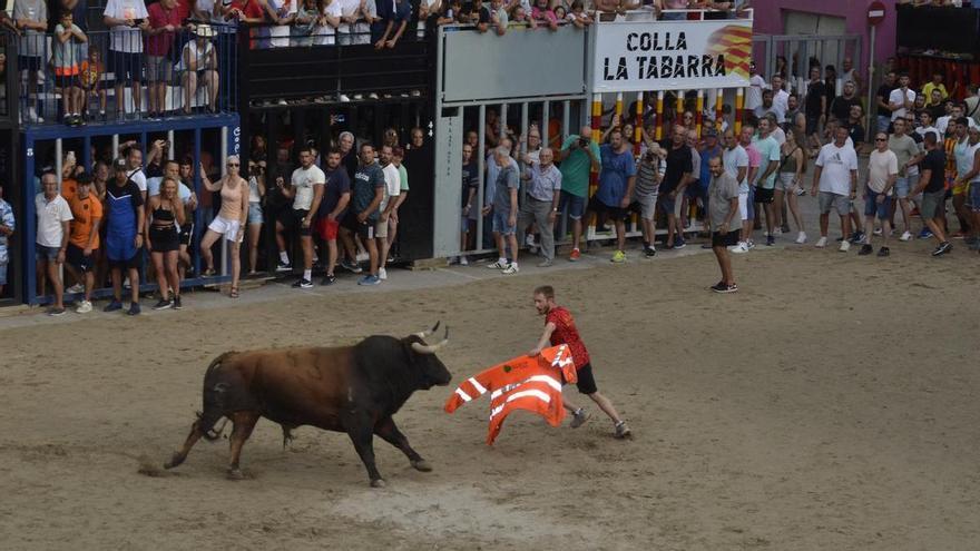 Moncofa inicia sus fiestas patronales a lo grande con un vibrante &#039;Dia del Bou&#039;