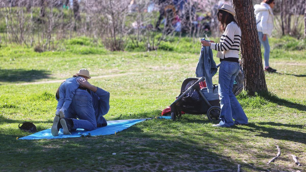 Un padre juega con su hijo en la Casa de Campo, a 19 de marzo de 2023, en Madrid (España).