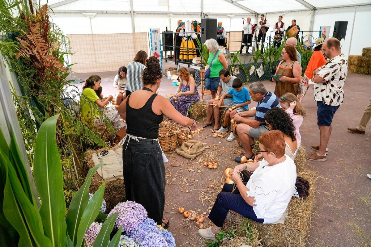 Feria de la cebolla chata de Miño