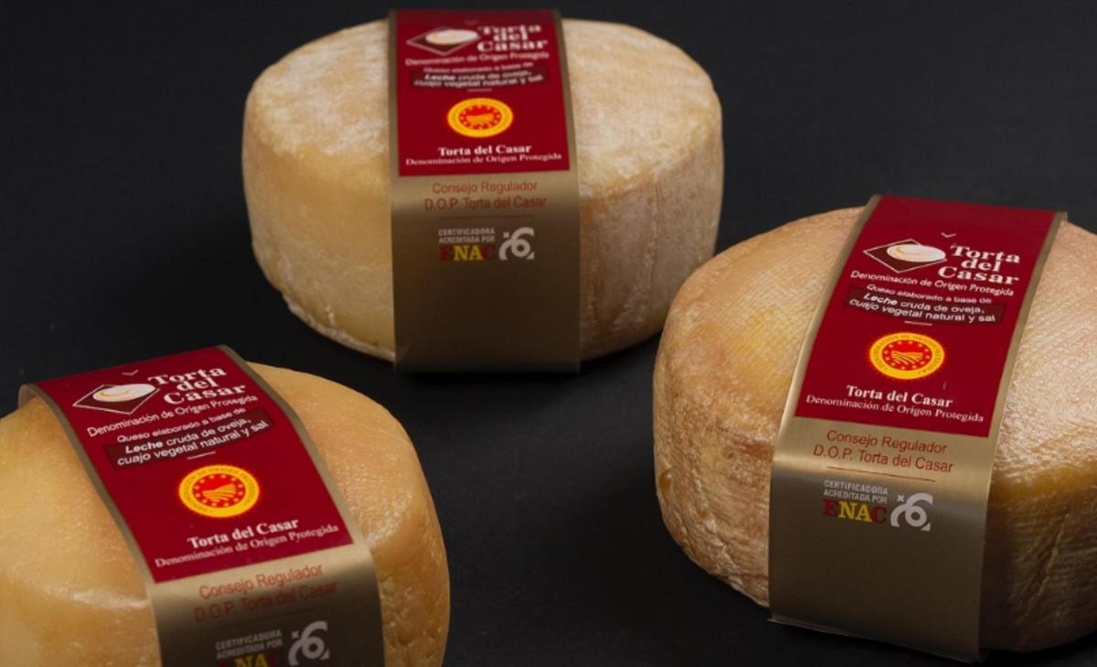 Torta del Casar: el mejor queso del mundo para descubrir Extremadura