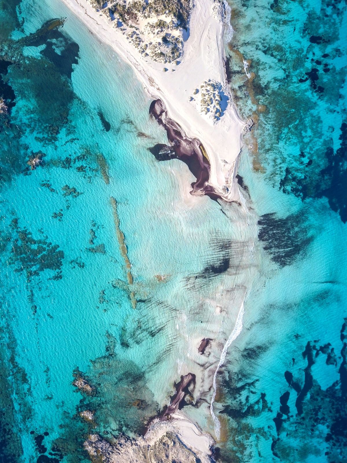 La imagen ganadora del concurso