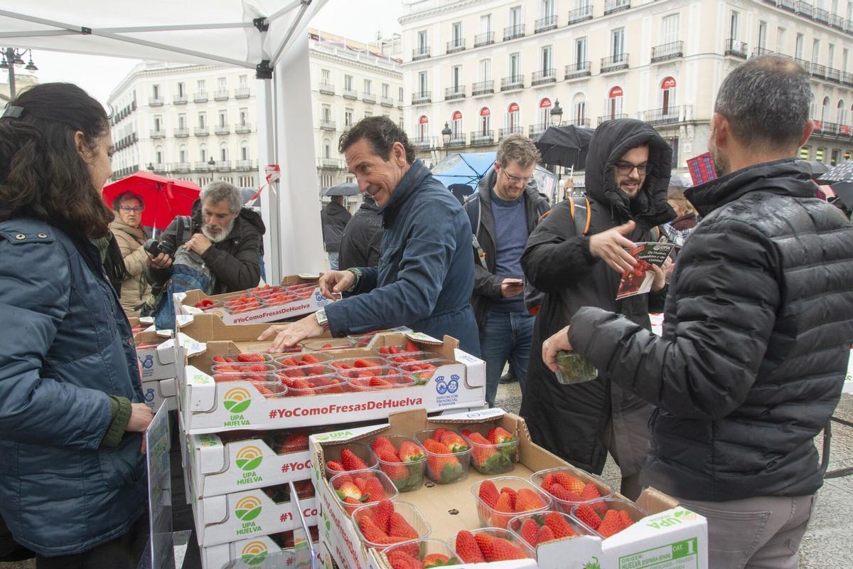 UPA reparte más de 2.000 tarrinas de fresa de Huelva en la Puerta del Sol.