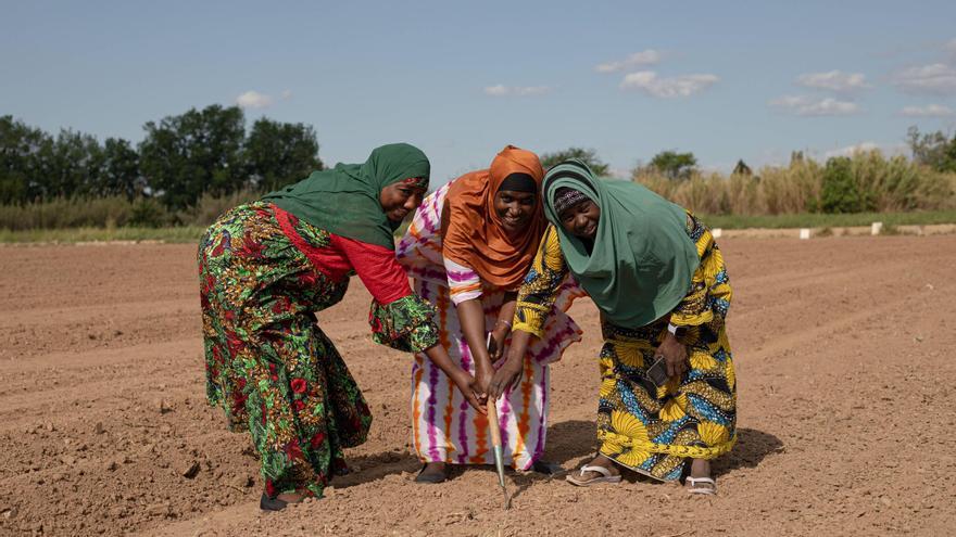 La asociación de mujeres africanas de Paterna lanzan una campañar para recaudar fondos para poder plantar especies africanas en la huerta