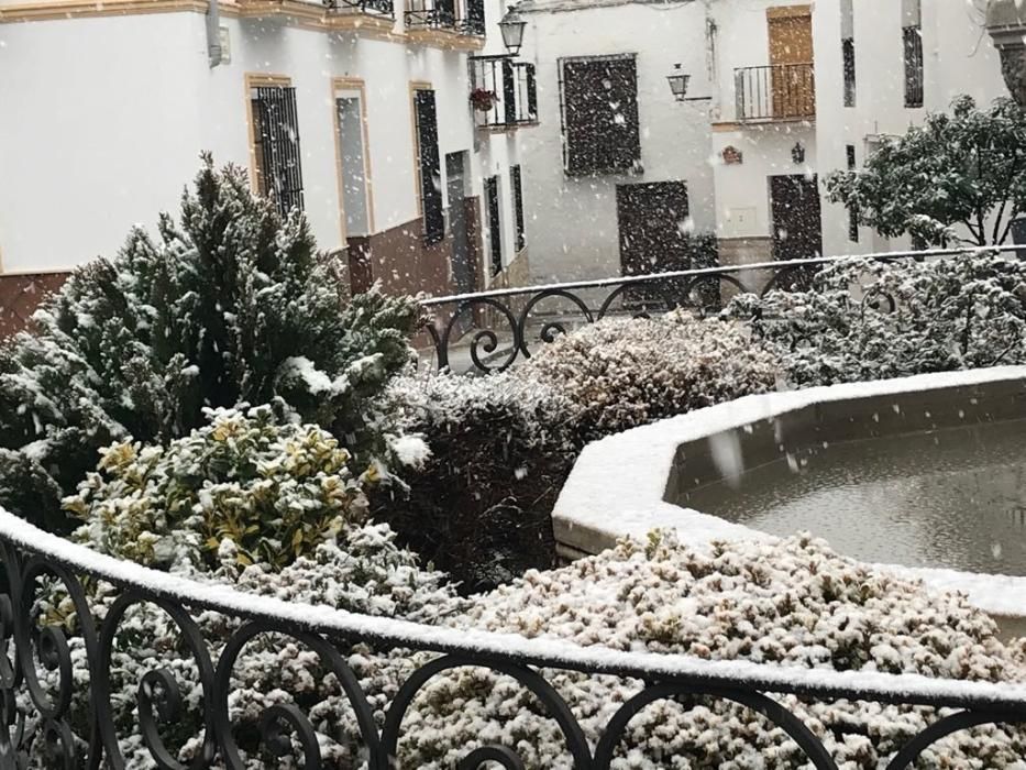 Nieve en Alfarnate.