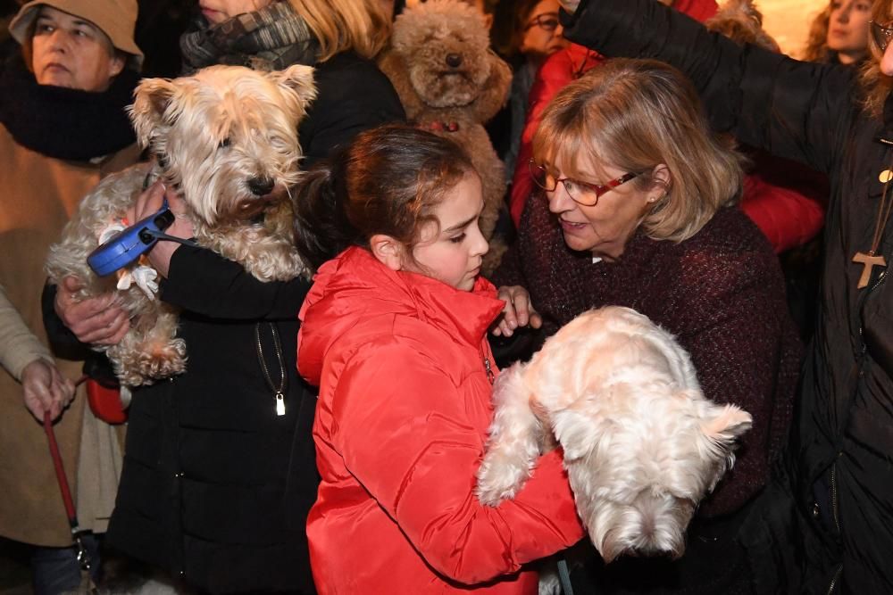 Bendición de mascotas en A Coruña