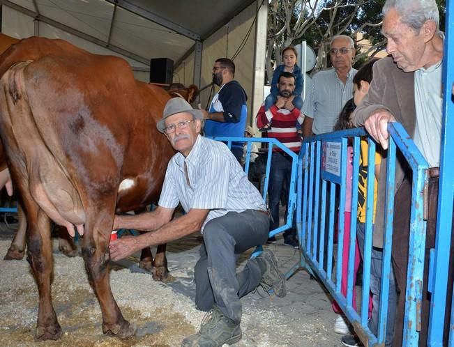 FIESTAS DE SAN GREGORIO