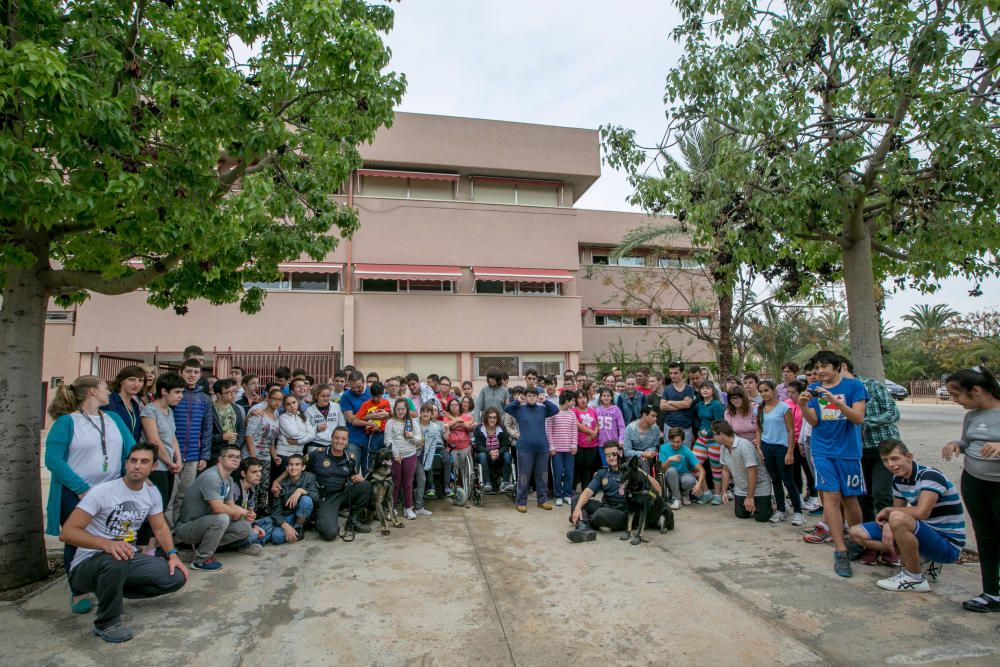 La Unidad Canina de la Policía Local visita colegios para concienciar contra las drogas y ha levantado 560 actas por consumo en 2016