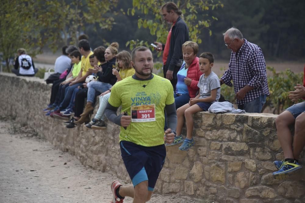 Vinya Trail a l'Oller del Mas.