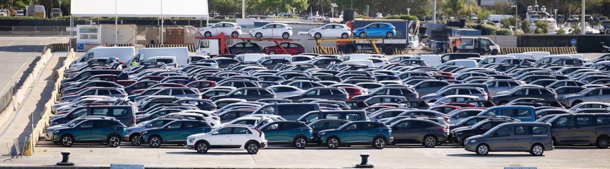 El Consell de Ibiza responde a la CNMC que el reparto del cupo de los 'rent a car' no se toca