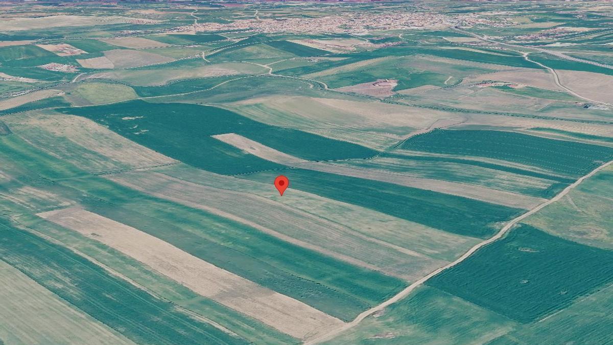 Una de las parcelas que salen a subasta en Fuente de Cantos.