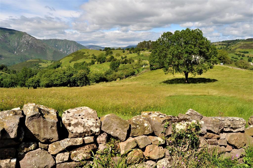 La naturaleza es una de las cualidades más bellas del concejo de Salas