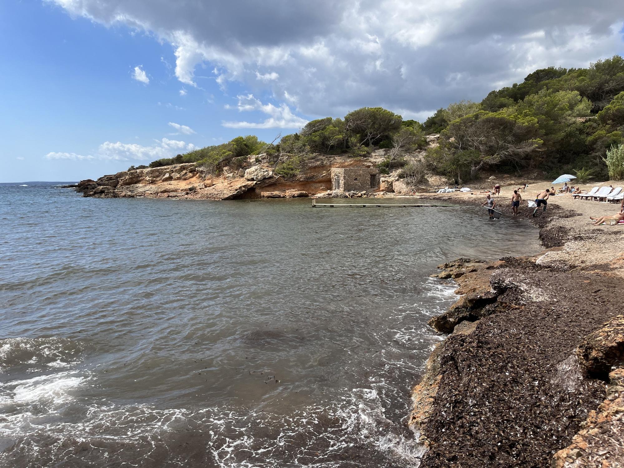 Hundimiento del yate en Ibiza: «Un trabajo muy duro» entre la posidonia de s’Estanyol