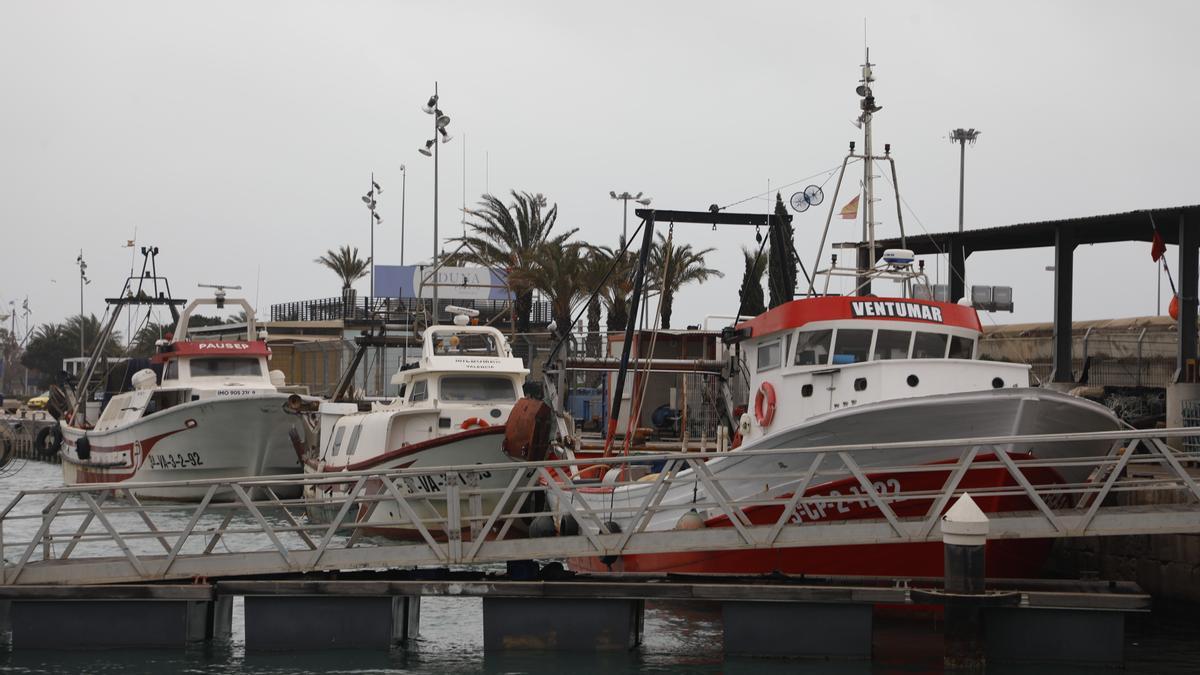 Barcos pesqueros amarrados en el puerto de València.