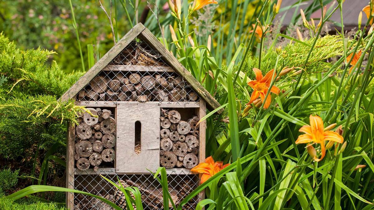 Cómo construir tu propio hotel para insectos