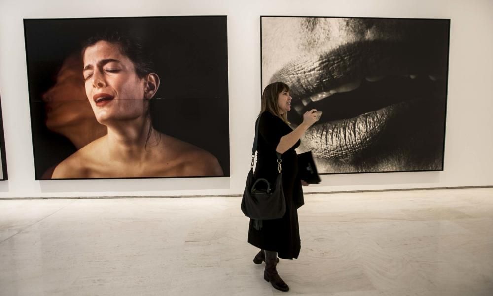 El MACA inaugura la exposición Mírame. Retratos en la colección La Caixa de Arte Contemporáneo