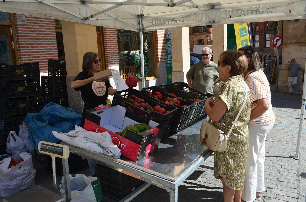 La Feria del Pimiento de Benavente 2026, en imágenes La Feria del Pimiento de Benavente 2026, en imágenes