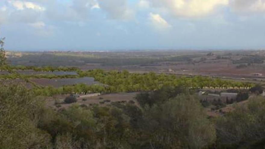 So soll der Solarpark aussehen.