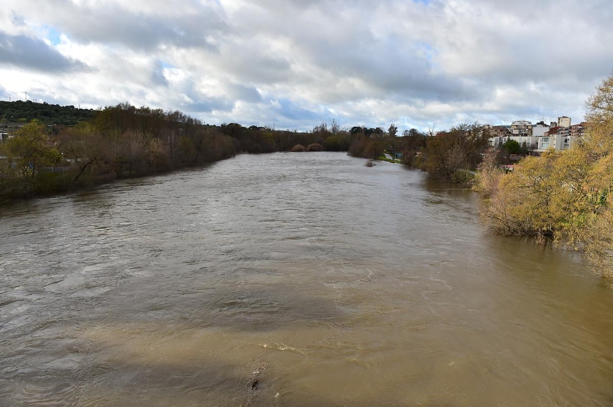 Fotogalería | Imágenes del río Jerte en Plasencia