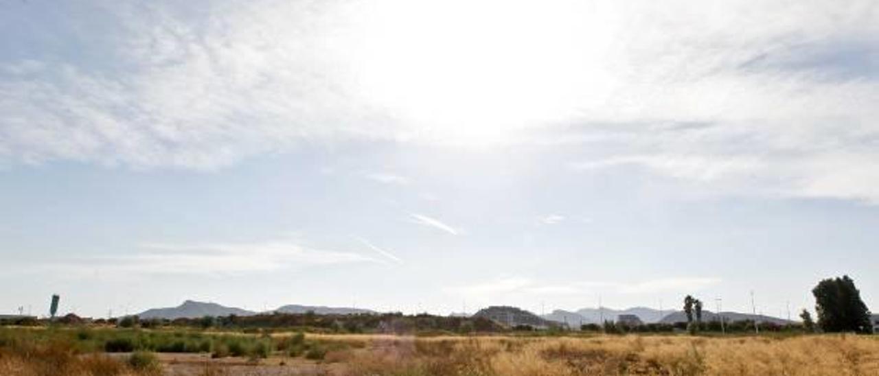 Un futuro estadio todavía en pañales