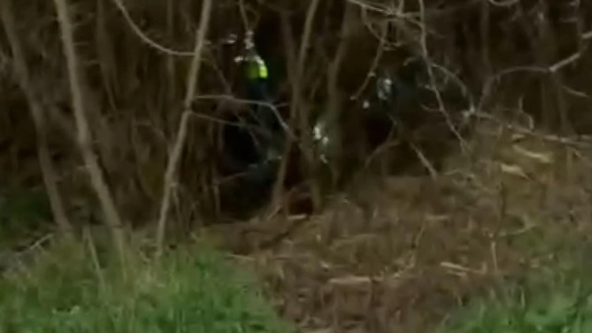 Así ha sido la detención de dos personas por el robo de más de 240 litros de combustible