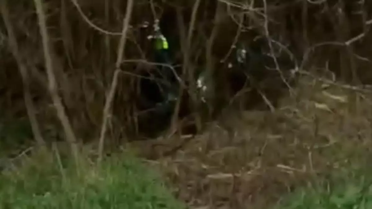 La Guardia Civil detiene a dos personas por el robo de más de 240 litros de combustible en la provincia de Zaragoza