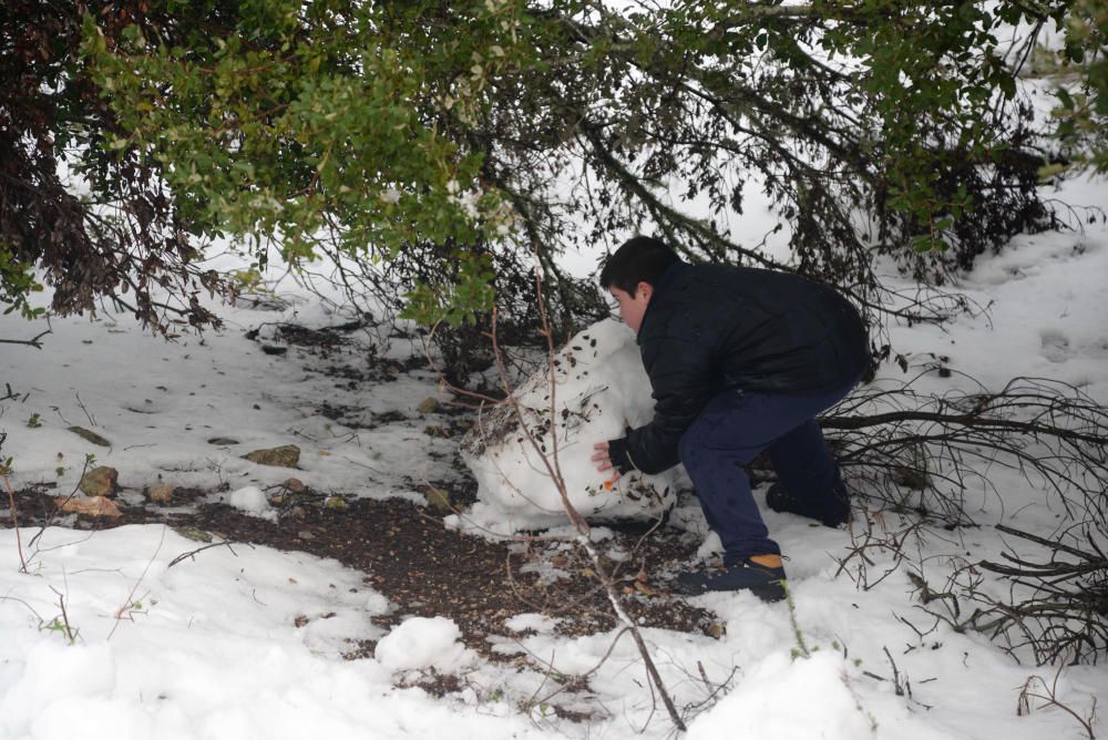 Los mallorquines salen a jugar con la nieve