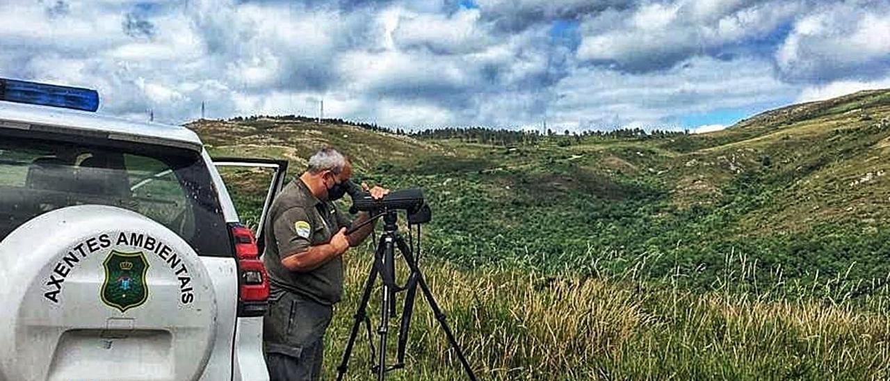 Un agente vigila el estado ambiental de un monte.   | // FDV