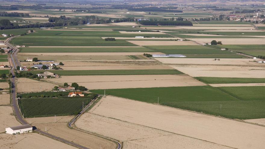 La Junta ultima el plan de dinamización de Tierra de Campos