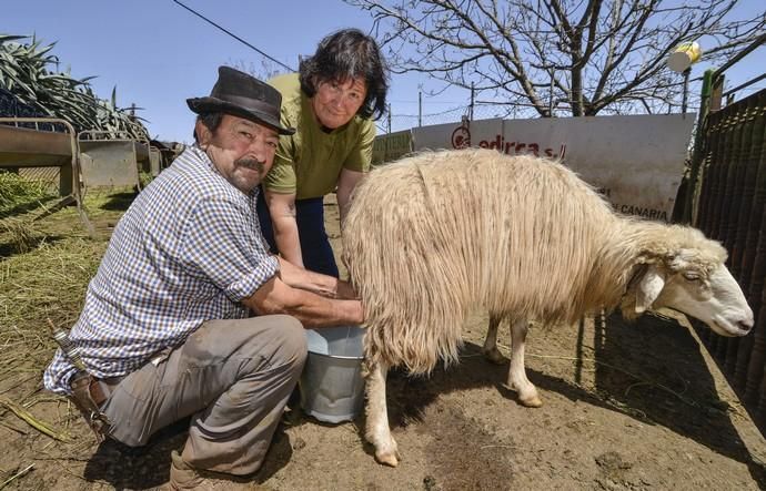 CAIDEROS DE GÁLDAR. Reportaje a Flora Gil y ...