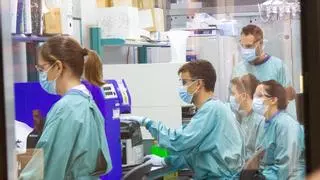 Tercera víctima mortal por virus del Nilo en Andalucía: un anciano de Tomares fallece tras 12 días ingresado