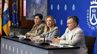 Cabildo y Consistorio instalan luminarias solares con aval de IAC en Arafo
