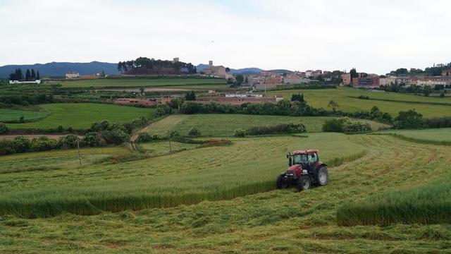 Imatge d’arxiu on es pot veure el castell de Sant Martí de Tous de fons