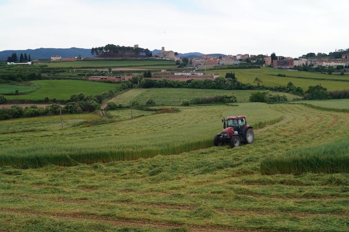 Imatge d’arxiu on es pot veure el castell de Sant Martí de Tous de fons
