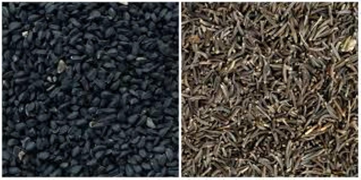 El kala jeera, una especia exótica que también es conocida como comino negro o Nigella sativa.