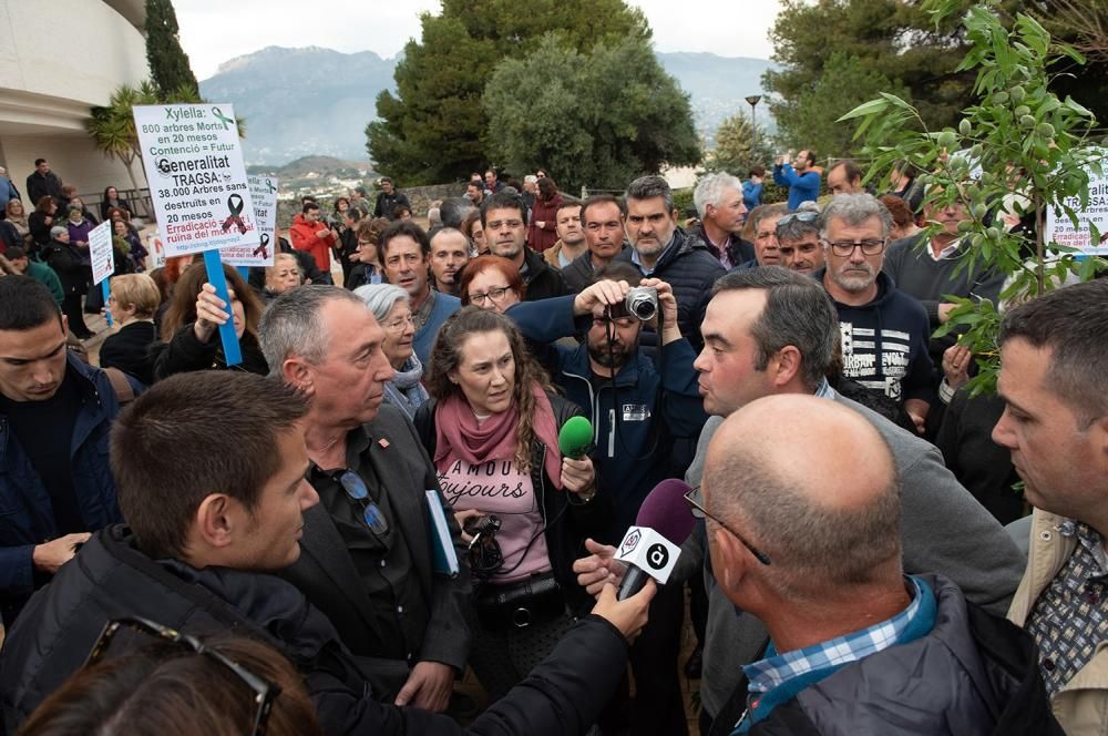 Manifestación por la Xylella en Altea