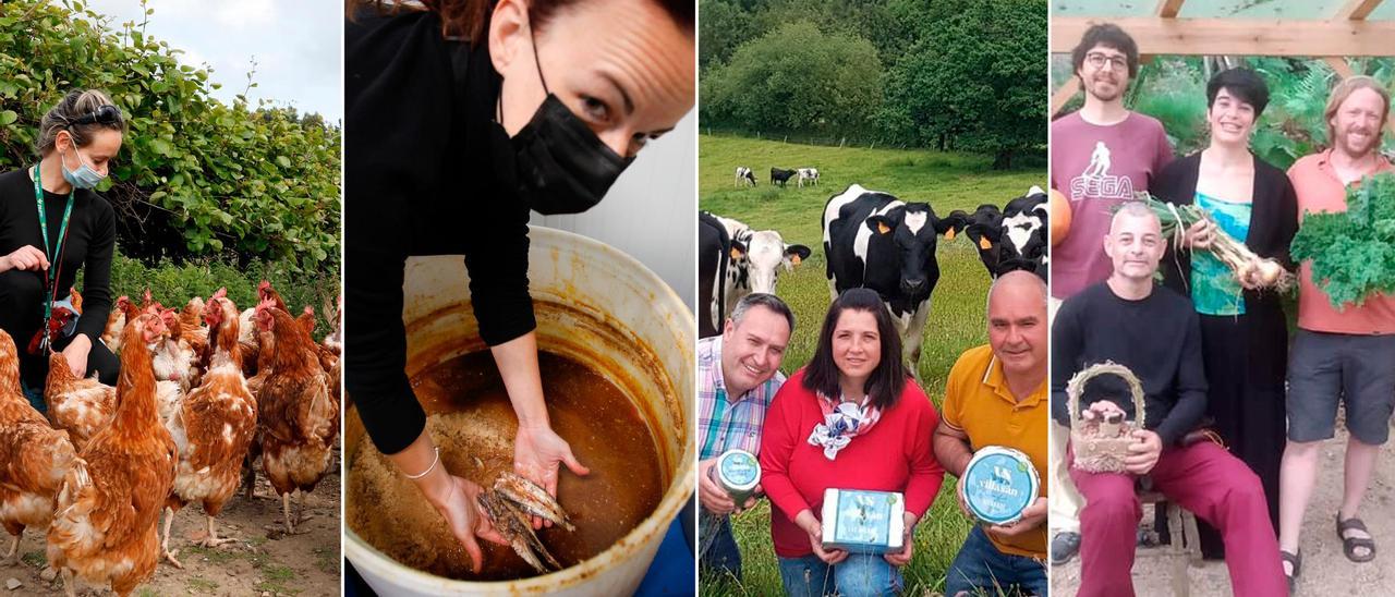 Cuatro historias que demuestran la pujanza del sector agroalimentario en Asturias.