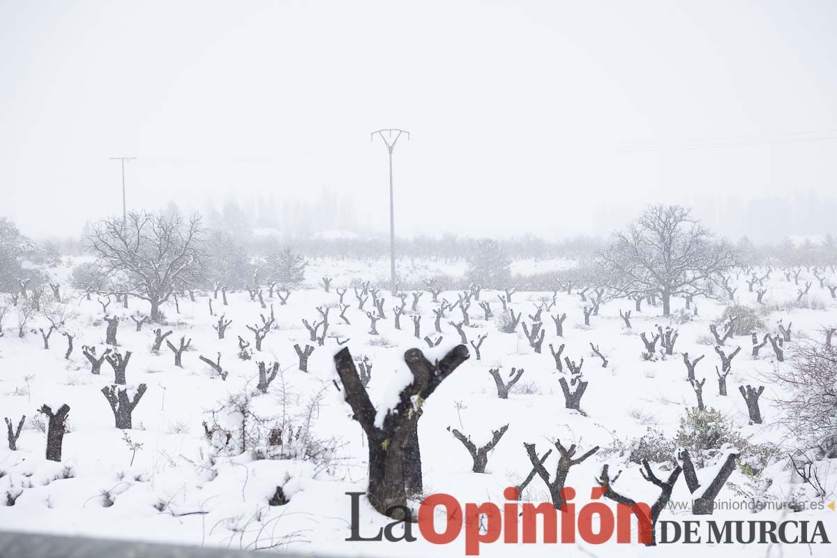 Continúa la nevada en las zonas altas de la comarca del Noroeste