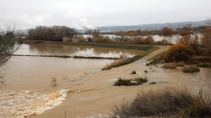 Los agricultores culpan a la Administración de la inundación de 600 hectáreas en la Ribera Baja tras la crecida del Ebro