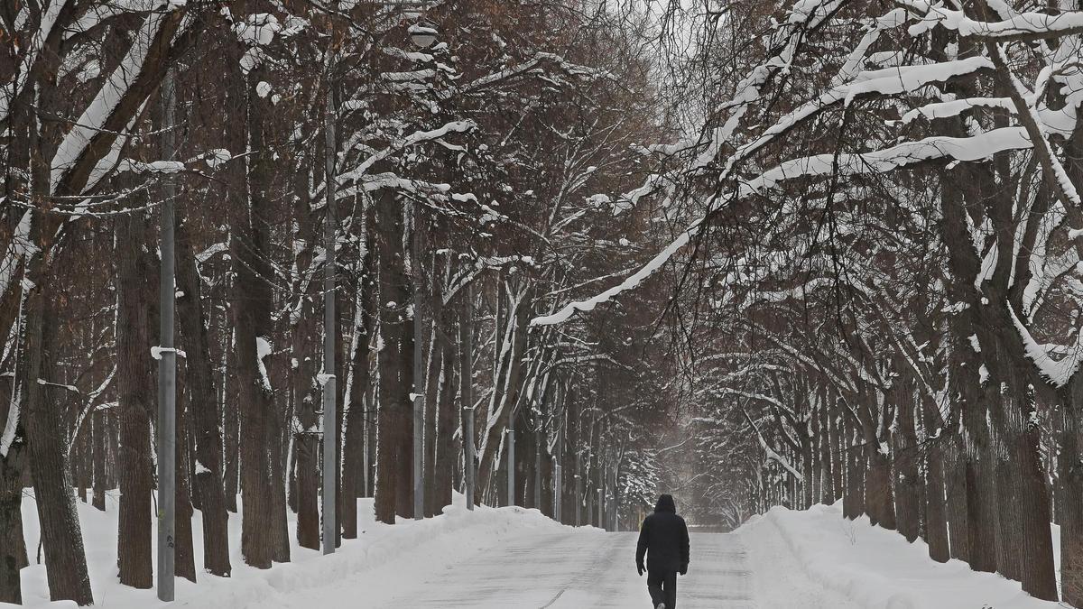 Un paseo nevado en Moscú