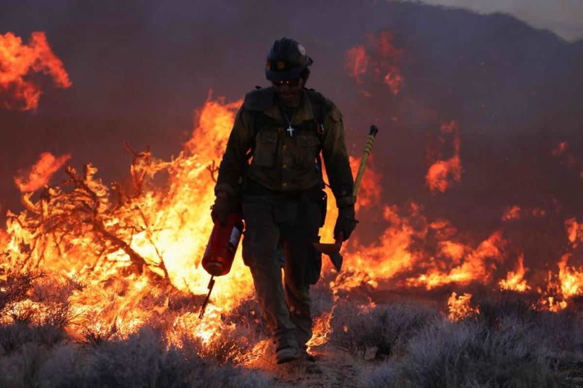 Arde la Reserva Nacional de Mojave entre California a Nevada