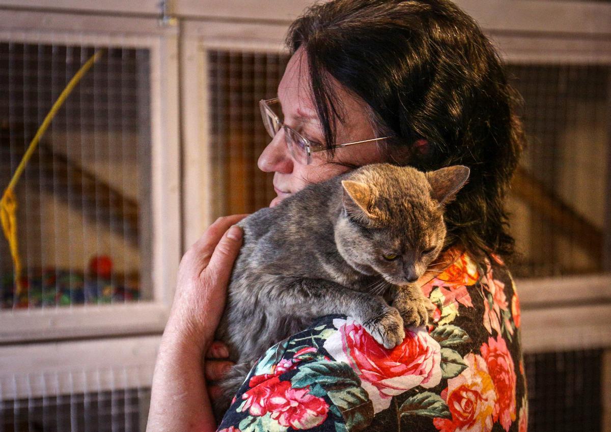 Tatyana Zelenskaya junto a uno de los gatos que viven con ella en su refugio para gatos en Novosibirsk (Rusia).