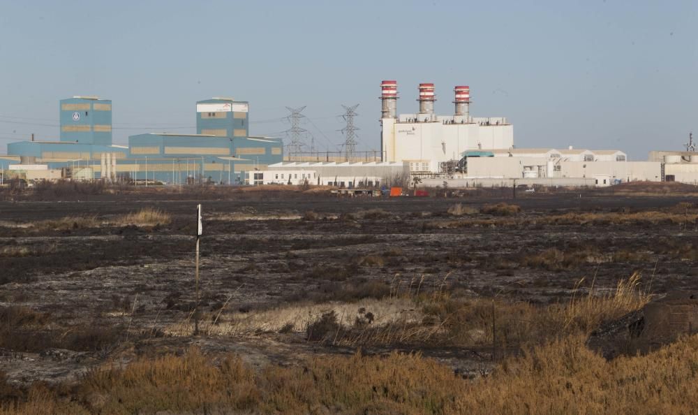 La Marjal dels Moros tras el incendio