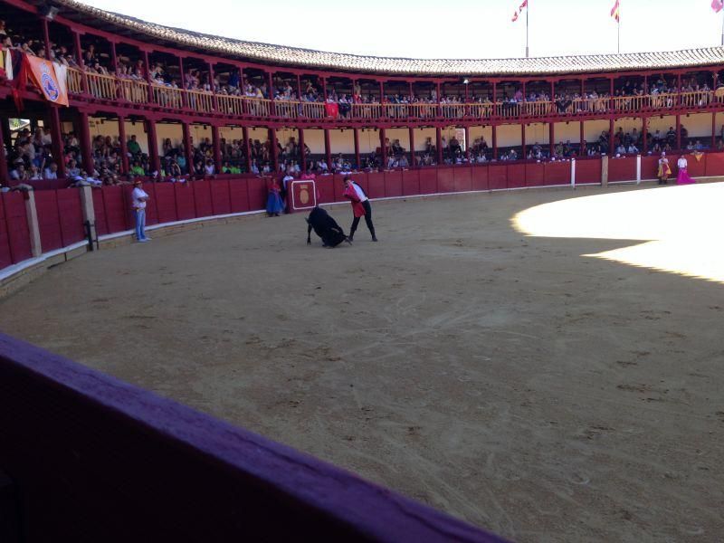 Fiestas en Toro | Becerrada de las peñas