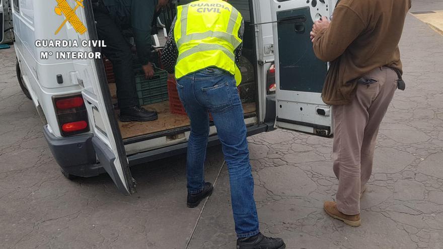 La Guardia Civil ha detenido a nueve persona.