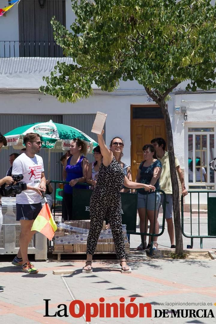 Campeonato del mundo de lanzamiento de ladrillo de Valentín