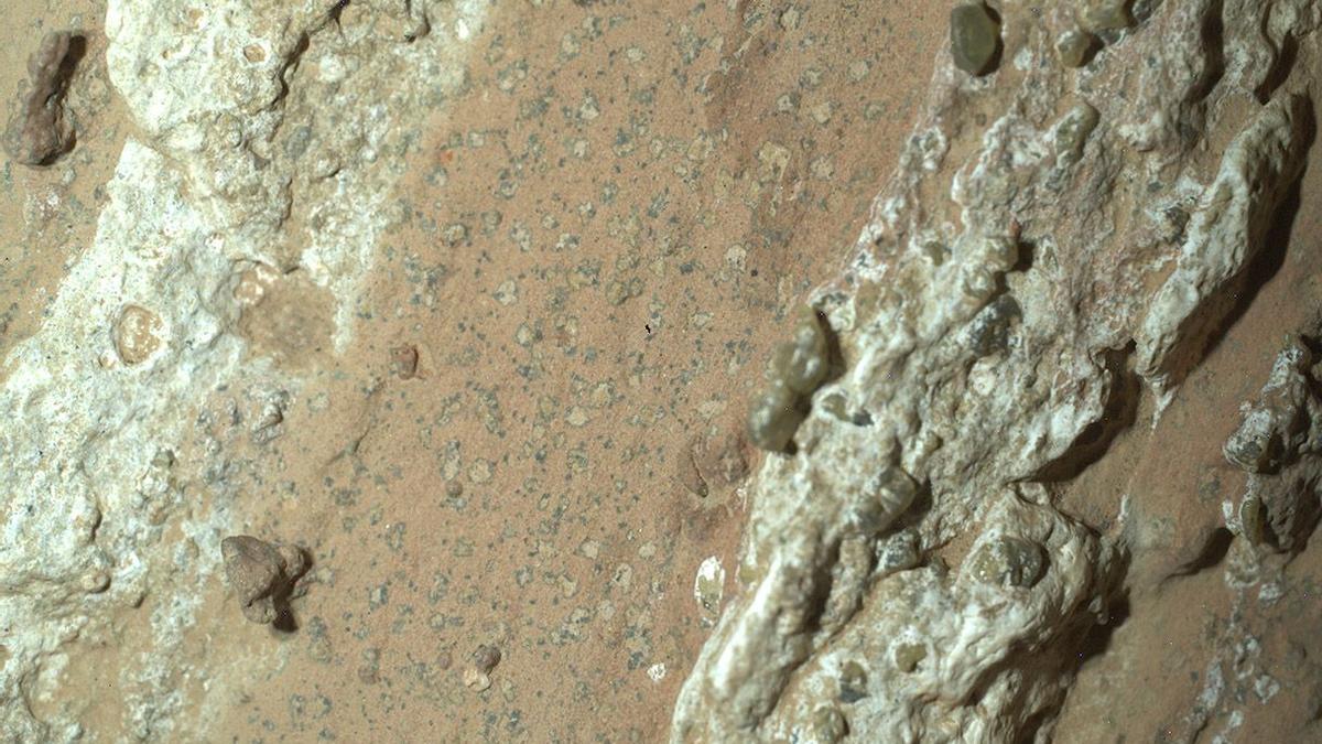 Manchas anilladas de minerales, que indican reacciones químicas que, en la Tierra, proporcionan energía a los microbios, fueron identificadas en la roca hallada en Marte por el rover Perseverance.