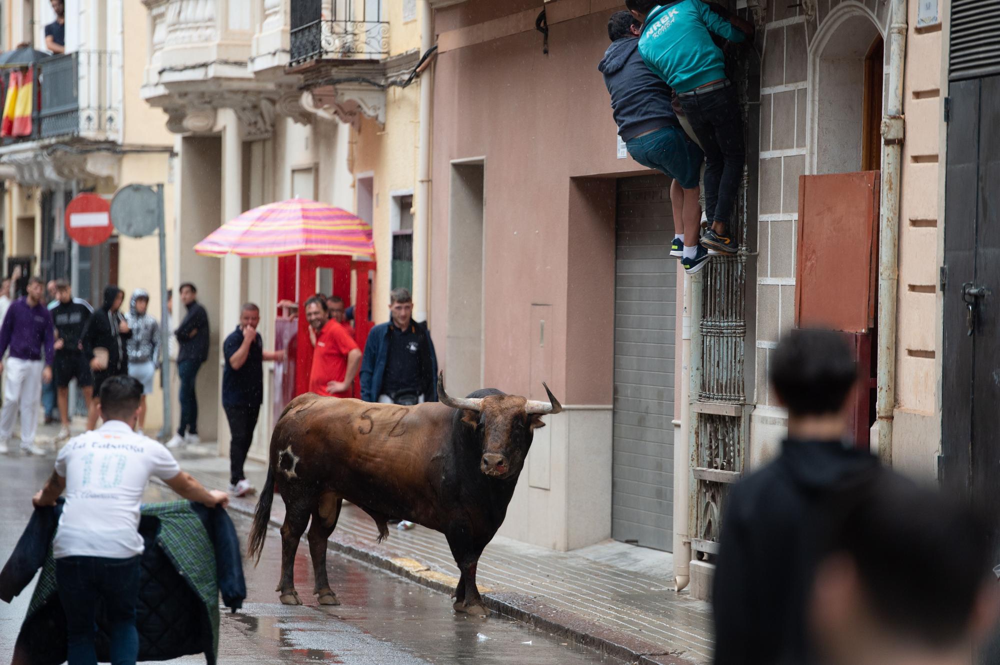 Las fotos de una tarde taurina de Almassora de luto y pasada por agua